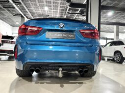 
										BMW X6 (F16) 5P (14-19) 2016 lleno									