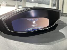 
										PEUGEOT 3008 (M) (16-24) 2019 lleno									