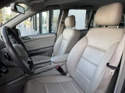 
										MERCEDES BENZ CLASE M (W 164) 5P (05-11) 2010 lleno									