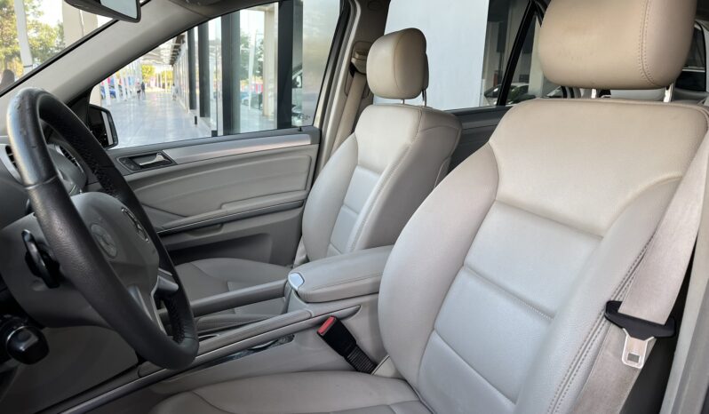 
								MERCEDES BENZ CLASE M (W 164) 5P (05-11) 2010 lleno									