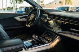 
										AUDI Q8/SQ8 (F1) 5P (18-) 2025 lleno									