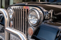 
										JEEP WRANGLER 2003 lleno									