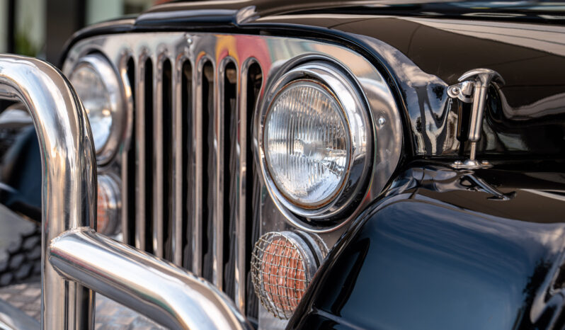 
								JEEP WRANGLER 2003 lleno									