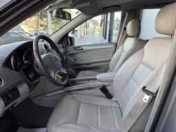 
										MERCEDES BENZ CLASE M (W 164) 5P (05-11) 2010 lleno									