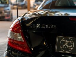 
										MERCEDES BENZ CLASE SLK (R 171) (04-10) 2004 lleno									