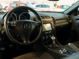 
										MERCEDES BENZ CLASE SLK (R 171) (04-10) 2004 lleno									