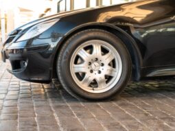 
										MERCEDES BENZ CLASE SLK (R 171) (04-10) 2004 lleno									