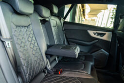 
										AUDI Q8/SQ8 (F1) 5P (18-) 2025 lleno									