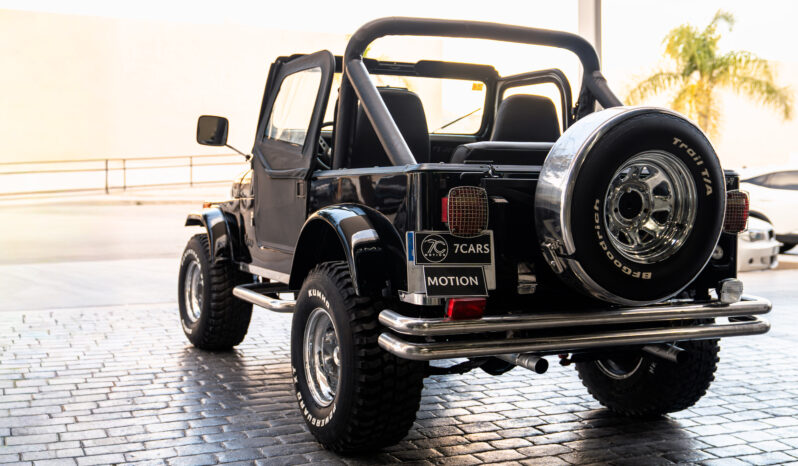 
								JEEP WRANGLER 2003 lleno									