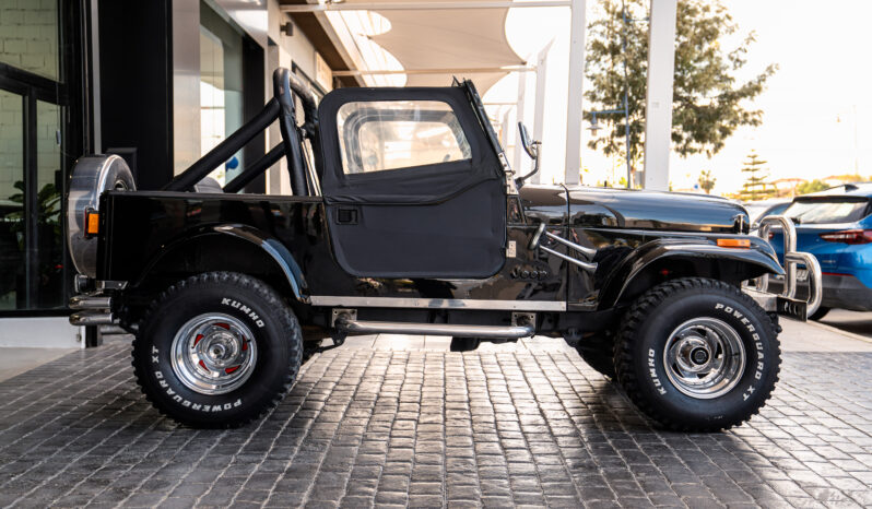 
								JEEP WRANGLER 2003 lleno									