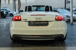 
										AUDI TT (8J) (06-10) 2009 lleno									