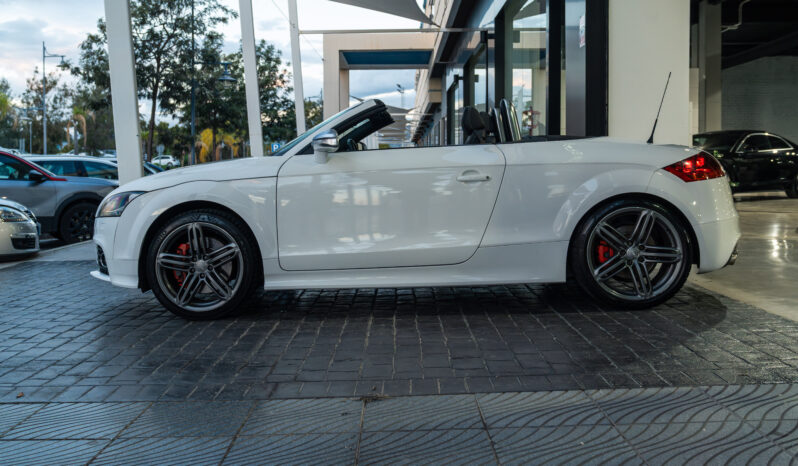 
								AUDI TT (8J) (06-10) 2009 lleno									