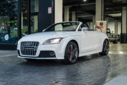 
										AUDI TT (8J) (06-10) 2009 lleno									