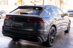 
										AUDI Q8/SQ8 (F1) 5P (18-) 2020 lleno									