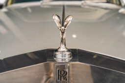 
										ROLLS ROYCE SILVER SHADOW II 1980 lleno									