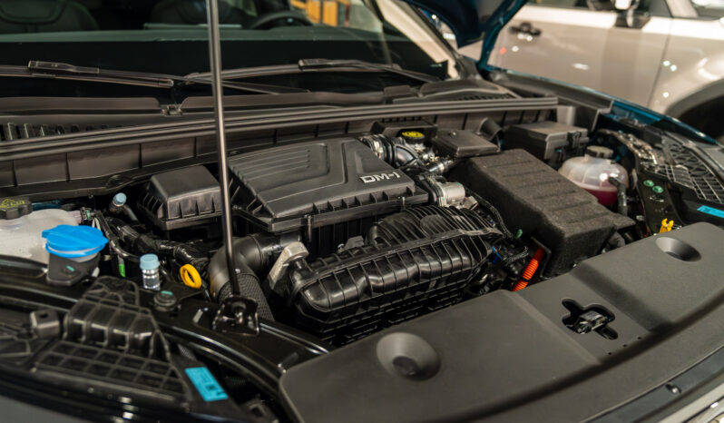 
								BYD ATTO 2 DM-i 2026 lleno									