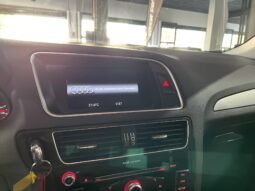 
										AUDI Q5/SQ5 (8R) 5P (12-17) 2013 lleno									