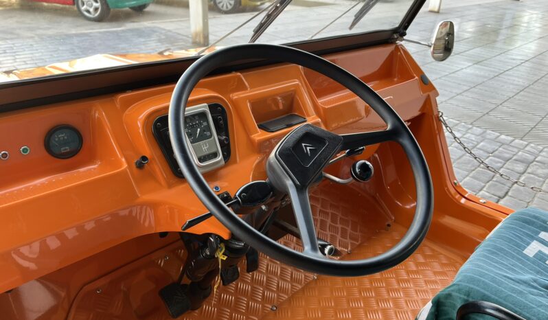 
								CITROEN MEHARI 1984 lleno									
