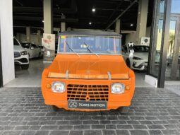 
										CITROEN MEHARI 1984 lleno									
