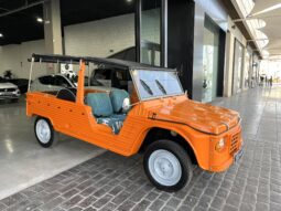 
										CITROEN MEHARI 1984 lleno									