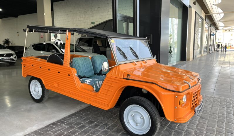 
								CITROEN MEHARI 1984 lleno									