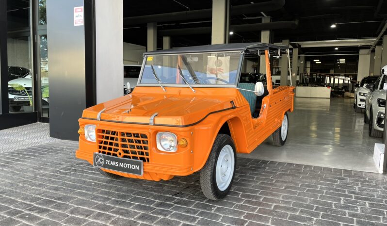
								CITROEN MEHARI 1984 lleno									