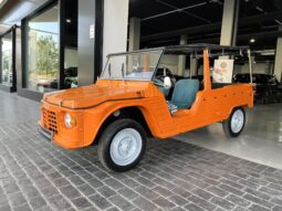 
										CITROEN MEHARI 1984 lleno									