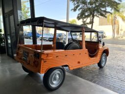 
										CITROEN MEHARI 1984 lleno									