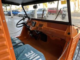 
										CITROEN MEHARI 1984 lleno									