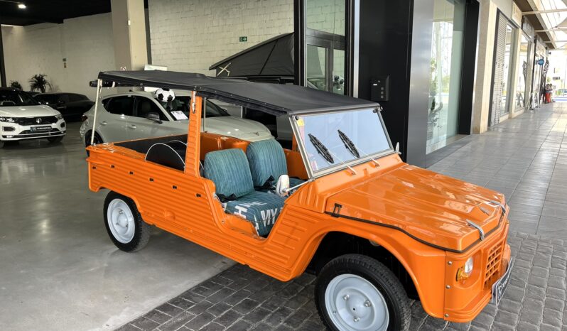 
								CITROEN MEHARI 1984 lleno									