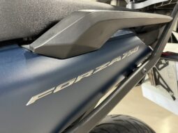 
										HONDA NSS750 2024 lleno									