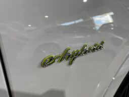 
										PORSCHE CAYENNE (9Y) 5P/COUPE (17-23) 2021 lleno									