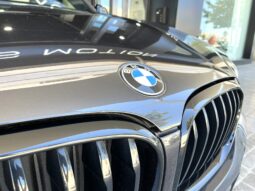 
										BMW X4 (G02) 5P (18-21) 2020 lleno									