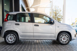 
										FIAT PANDA (312) 5P (16-22) 2017 lleno									