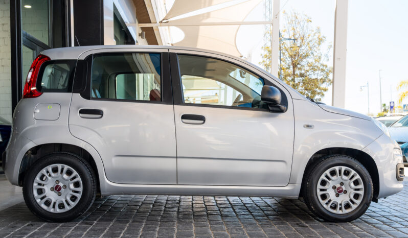 
								FIAT PANDA (312) 5P (16-22) 2017 lleno									