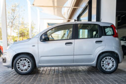 
										FIAT PANDA (312) 5P (16-22) 2017 lleno									