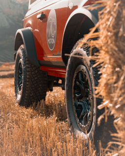 
										FORD BRONCO 2022 lleno									